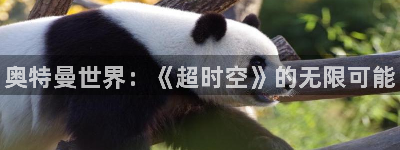 小艾电竞平台官方网址是什么啊